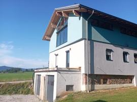 Fewo Wiesenblick，位于瓦尔德明兴的酒店