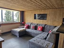 Appartement duplex chalet montagne，位于格里翁的酒店