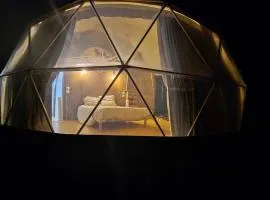La cabane aux chevaux
