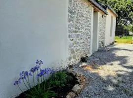 gîte de félicité, calme et nature