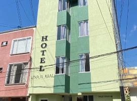 Hotel Linaje Popayán，位于波帕扬的酒店