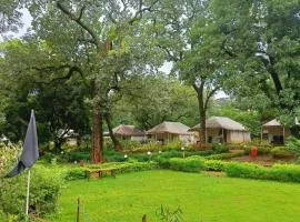 New satpura resort'