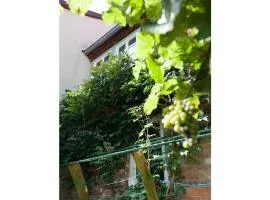 Appealing apartment in Quedlinburg