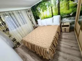 PREMIUM apartament Gradina Botanica