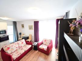 FLH - Apartament Kathy Sibiu，位于Turnişor的酒店