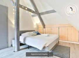 Appartements duplex 3 et 4 personnes - Climatisation - Village élu parmi les "Plus Beaux Villages de France" - Route des Vins - Centre Alsace