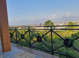 Vila Shehi Guesthouse and Winery，位于地拉那的旅馆