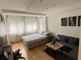 Vist 2 apartment，位于Tošin Bunar的酒店