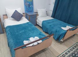 Casa Emilia Ana Maria，位于Recaş的酒店