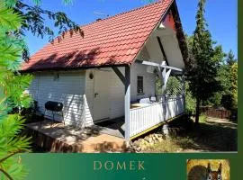 Domek pod Wiewiórką digital detox & balance
