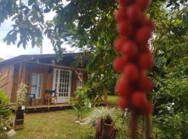 Hostal La Cabaña，位于Mesetas的酒店