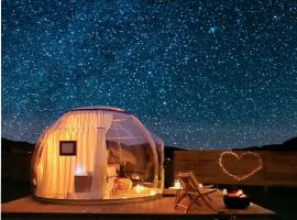 The Hunter Valley Star Gazing BubbleHotel，位于Mulbring的酒店