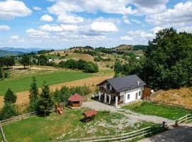 Casa din Munți Vlădeasa