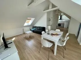 façon loft vaste T2 residence du haras