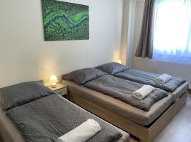 Silver Shine Apartman，位于德布勒森的酒店