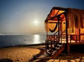 Sayal camp new
