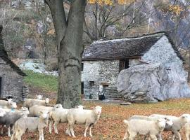 Rustico Gin Avegno Torbecc, Vallemaggia, Tessin,，位于Gordevio的酒店