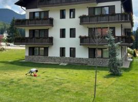 ALBERT RESIDENCE APARTHOTEL GRAND CHALET with FREE SPA access to Alpin Resort，位于波亚纳布拉索夫的公寓