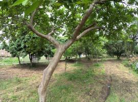 Bagicha farmstay - Near Jolly Grant Airport，位于Doiwāla的酒店
