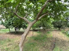 Bagicha farmstay - Near Jolly Grant Airport