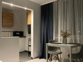 Apartament w Centrum