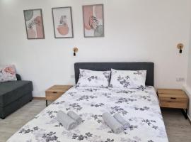 Zed apartmani Leskovac，位于莱斯科瓦茨的酒店