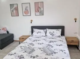 Zed apartmani Leskovac