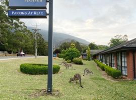 Golden Chain Country Plaza Motel Halls Gap，位于霍尔斯加普的酒店