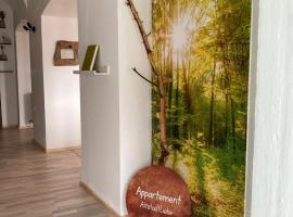 Appartement AltstadtLiebe，位于魏特拉的酒店