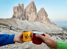 Hotel Dolomiti Des Alpes，位于米苏丽娜的酒店