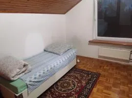 Adam room 5