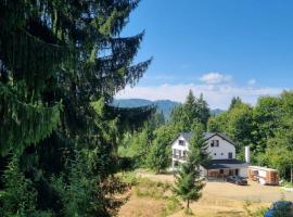 Cabana de închiriat la Colibița，位于科利比塔的乡间豪华旅馆