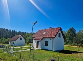 Leśne Domowisko，位于Siecino的酒店