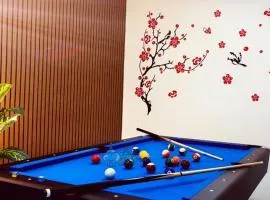 Semi D 20pp Pool, Karaoke & Pool Table