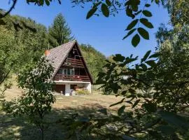 Pet-Friendly - Planinska Vikendica Međurečje