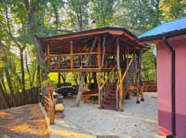 Alen Mak Forest Hotel，位于Lipnik的酒店