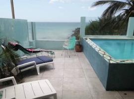 Casa Rosa 2 bedroom beach fronted home with private pool，位于车勒姆的酒店