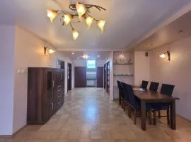 Apartament 'Siwy Dom'
