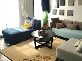 Spacieux appartement en centre ville de Beaugency