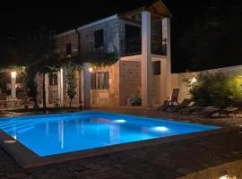 Holiday home Bilini Dvori - house with swimming pool