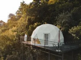 Mandarina - Cosmo Dome