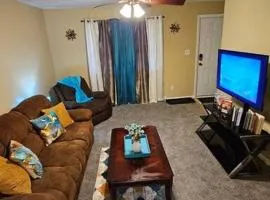 Cozy 2BR sleeps 6 near ECU Stadium and Hospital