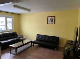 New renovated peaceful apartment with parking