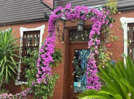 艾哈迈德伊芬迪伊芙酒店，位于伊斯坦布尔的酒店