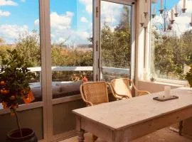 Charming sunroom with panorama view