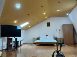 Apartament central Timisoara