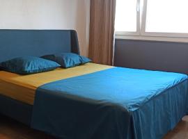 Apartement 2 rooms Saint Louis - Euroairport - Basel - Train station，位于圣路易的酒店