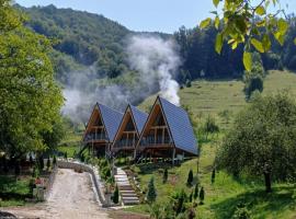 A-Frame Bella，位于Zăvoi的酒店