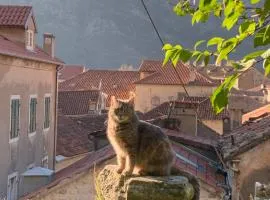 Charming rooftop view