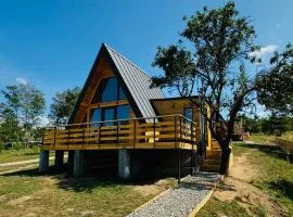 IezerVenture Cabins - ChiangMai